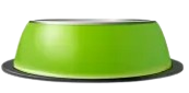 cat food bowl