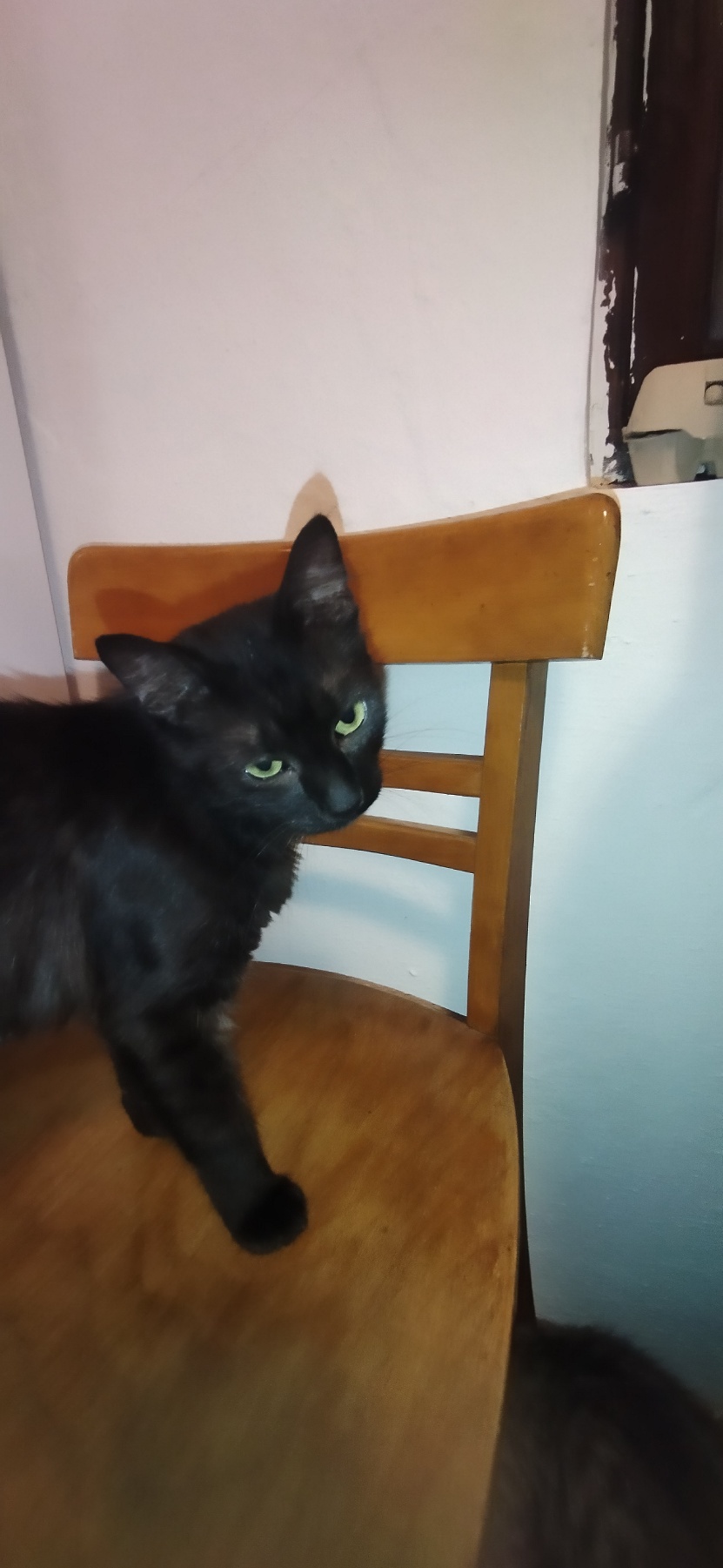 Luna